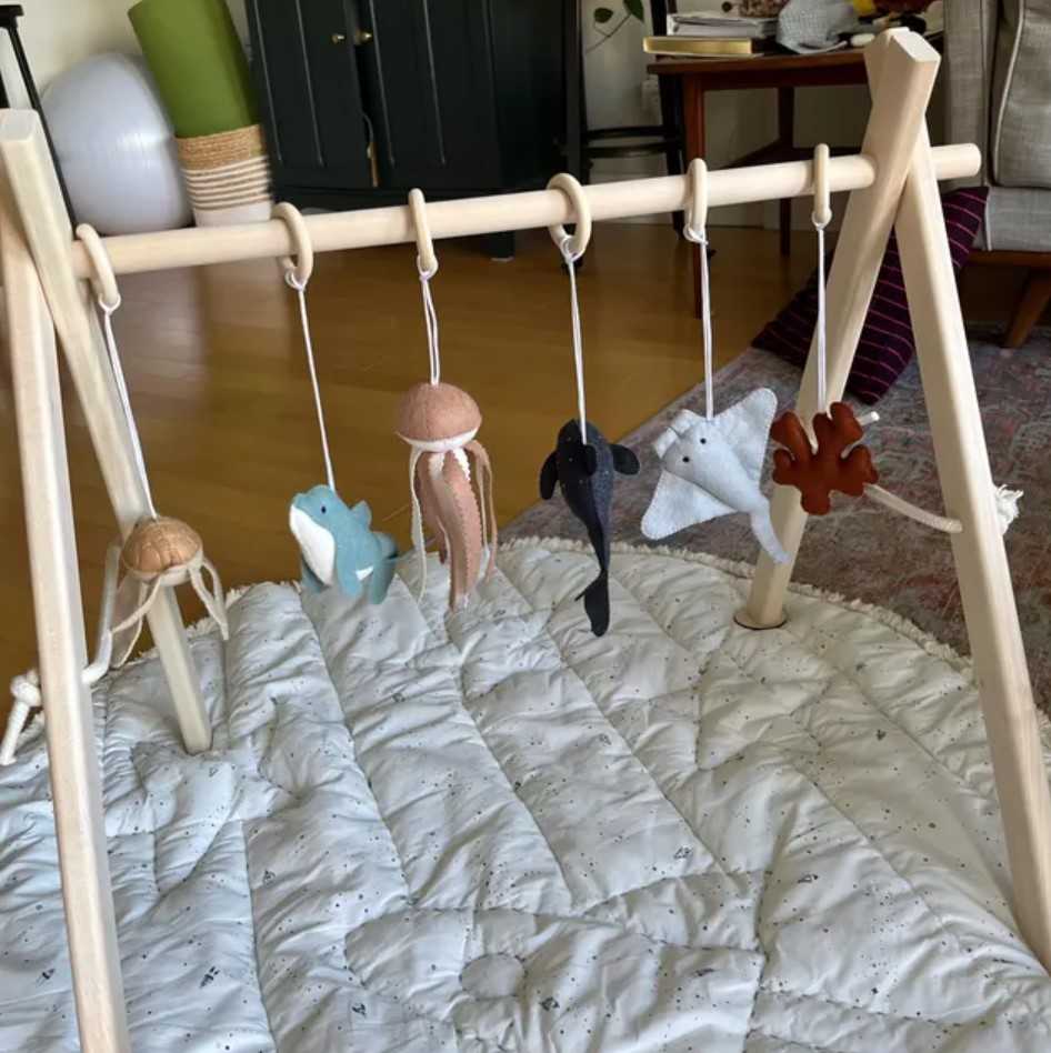 Image #1 de Stephanie